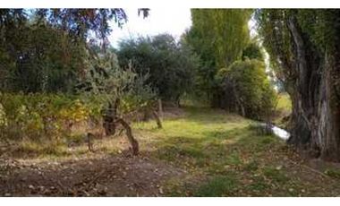 VENTA DE FINCA DE 3,3 HAS CON POTENCIAL EN LULUNTA–MAIPÚ