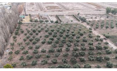 VENTA DE FINCA DE 3,3 HAS CON POTENCIAL EN LULUNTA–MAIPÚ