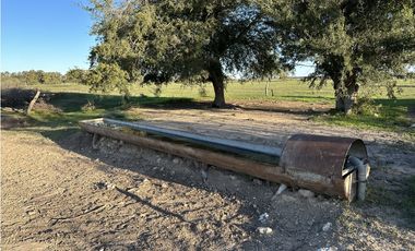 Campo en venta en Brandsen. 49 Has mixto