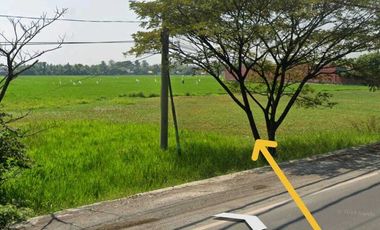 Tanah zona industri Pantura pekalongan