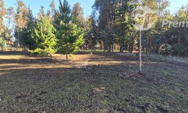 Parcela en Venta en Camino Maria Dolores, sector Las Quintas