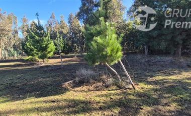 Parcela en Venta en Camino Maria Dolores, sector Las Quintas