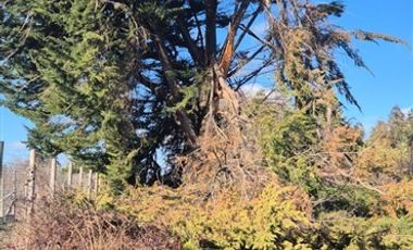 Parcela en Venta en Camino Maria Dolores, sector Las Quintas