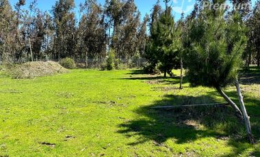 Parcela en Venta en Camino Maria Dolores, sector Las Quintas