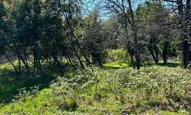 Parcela en Venta en Camino Maria Dolores, sector Las Quintas