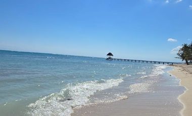 Bahia Tankah  Lote frente de mar en Venta