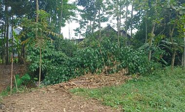 Jual Cepat Tanah SHM di Sidomukti Salatiga dekat RS Hermina,UIN