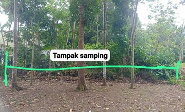 Jual Cepat Tanah SHM di Sidomukti Salatiga dekat RS Hermina,UIN