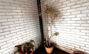 MAIPU/AMÉRCIA COMUNA SAN BERNARDO