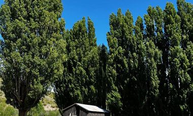 Campo en venta - 212Hectareas - San Martín de Los Andes