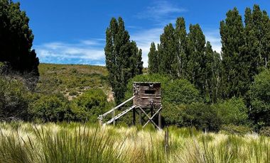 Campo en venta - 212Hectareas - San Martín de Los Andes
