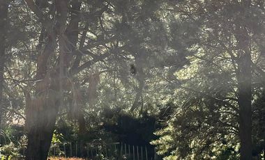 Campo en venta - 212Hectareas - San Martín de Los Andes