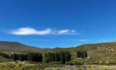 Campo en venta - 212Hectareas - San Martín de Los Andes
