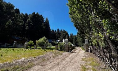 Campo en venta - 212Hectareas - San Martín de Los Andes