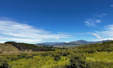 Campo en venta - 212Hectareas - San Martín de Los Andes