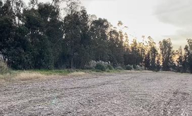 Campo en Barrio Batan