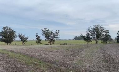 Campo en Barrio Batan