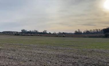 Campo en Barrio Batan