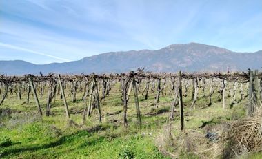 CAMPO 12 HA PLANO BUEN ACCESO AGUA SAN VICENTE TAGUA TAGUA