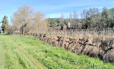 CAMPO 12 HA PLANO BUEN ACCESO AGUA SAN VICENTE TAGUA TAGUA