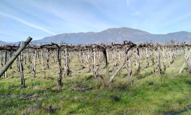 CAMPO 12 HA PLANO BUEN ACCESO AGUA SAN VICENTE TAGUA TAGUA