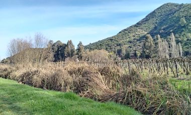 CAMPO 12 HA PLANO BUEN ACCESO AGUA SAN VICENTE TAGUA TAGUA