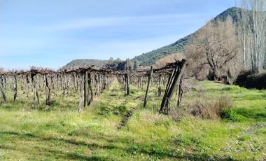 CAMPO 12 HA PLANO BUEN ACCESO AGUA SAN VICENTE TAGUA TAGUA