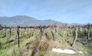 CAMPO 12 HA PLANO BUEN ACCESO AGUA SAN VICENTE TAGUA TAGUA