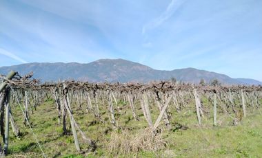 CAMPO 12 HA PLANO BUEN ACCESO AGUA SAN VICENTE TAGUA TAGUA