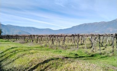 CAMPO 12 HA PLANO BUEN ACCESO AGUA SAN VICENTE TAGUA TAGUA