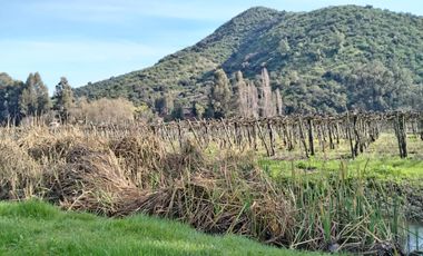 CAMPO 12 HA PLANO BUEN ACCESO AGUA SAN VICENTE TAGUA TAGUA