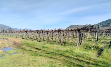 CAMPO 12 HA PLANO BUEN ACCESO AGUA SAN VICENTE TAGUA TAGUA