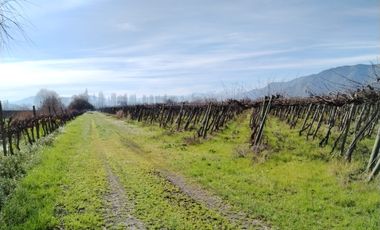 CAMPO 12 HA PLANO BUEN ACCESO AGUA SAN VICENTE TAGUA TAGUA