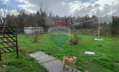 GRAN PARCELA  A MINUTOS DE LA RUTA 5 SUR