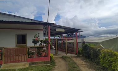VENTA de FINCAS en GARZON