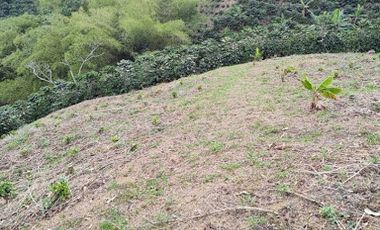 VENTA de FINCAS en GARZON