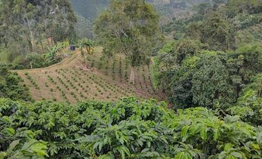 VENTA de FINCAS en GARZON