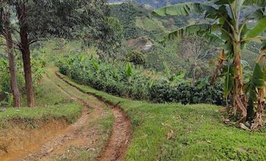 VENTA de FINCAS en GARZON