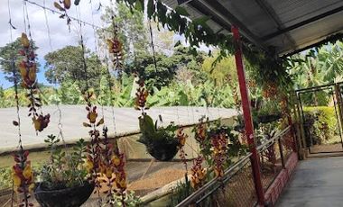 VENTA de FINCAS en GARZON