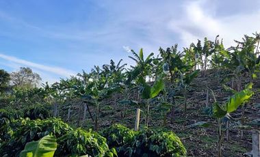 VENTA de FINCAS en GARZON