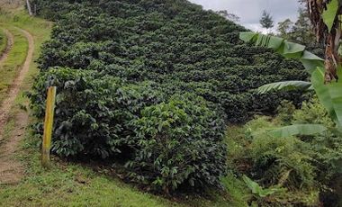 VENTA de FINCAS en GARZON