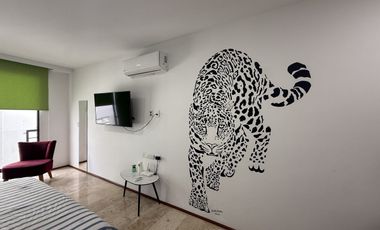 RC RENTA DE LOFT EN MENESSE MIDTOWN PLAYA DEL CARMEN
