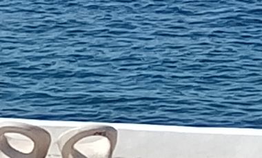 DEPARTAMENTO EN RENTA EN LA MEJOR UBICACION DE VERACRUZ