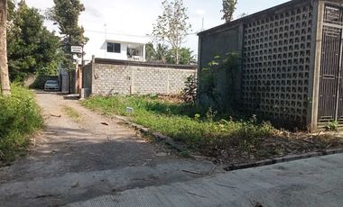 TANAH MURAH STRATEGIS 330M DEKAT BAKSO PAK KRIBO JAPUNAN MERTOYUDAN