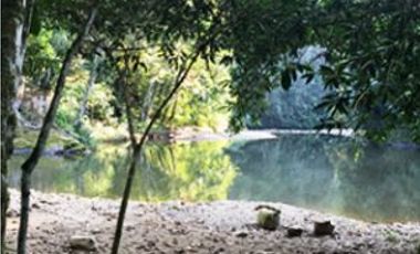 Centro Holistico en Venta en San Roque de Cumbaza