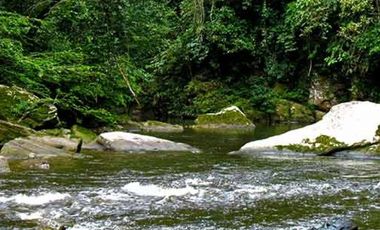 Centro Holistico en Venta en San Roque de Cumbaza