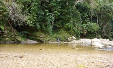 Centro Holistico en Venta en San Roque de Cumbaza