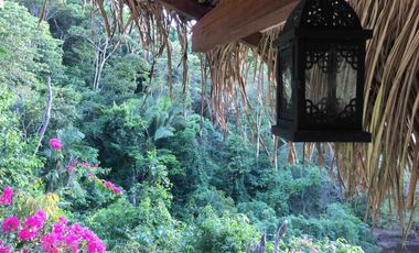 Centro Holistico en Venta en San Roque de Cumbaza