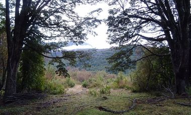 SECTOR CHOYQUEMORO 30 HA