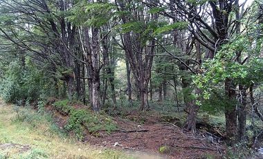 SECTOR CHOYQUEMORO 30 HA